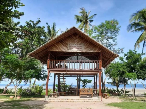 A nipa-roofed hut on the lawn with palms behind