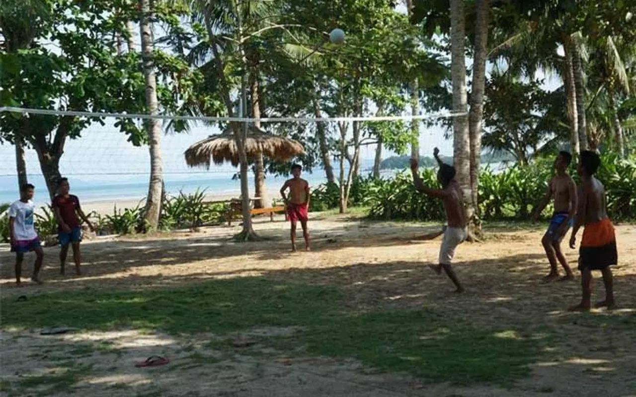 The shaded lawn under coconut palms with guests and hammocks near the shore