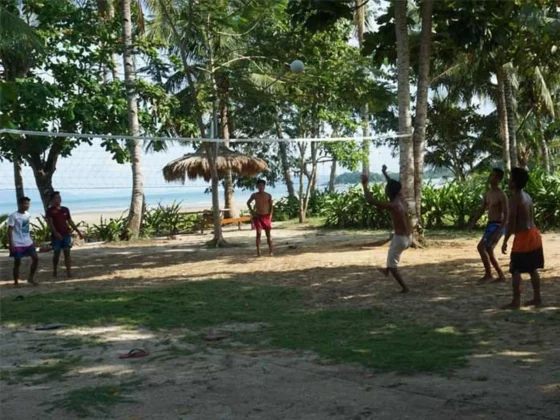 The lawn under coconut palms near the shore