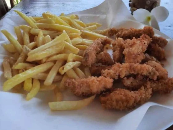 Fried chicken and french fries on a plate
