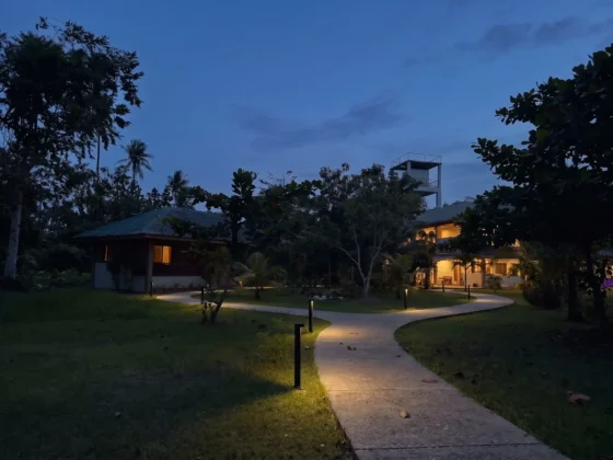 The concrete path lit by bollards in the evening