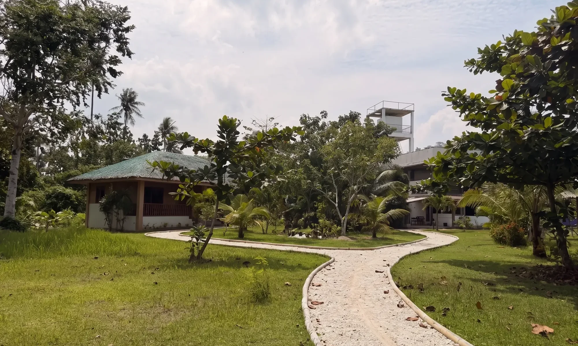 A crushed limestone path with bamboo edging winding across the lawn between buildings