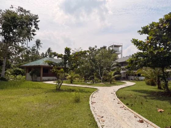 A crushed limestone path with bamboo edging winding across the lawn between buildings