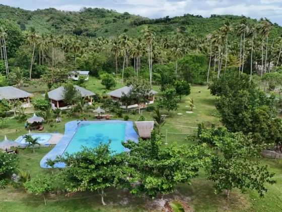 Aerial view of the pool, villas and gardens among coconut palms