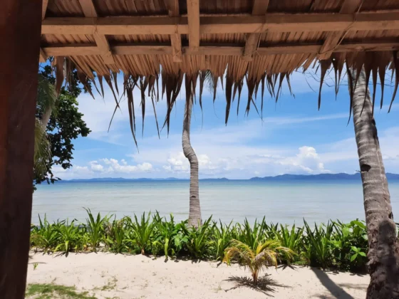 Bacuit Bay seen from under a nipa roof, palms and white sand in front