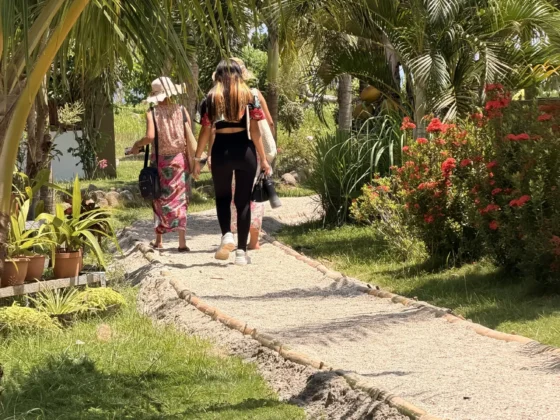 Two guests walking the garden path under coconut palms