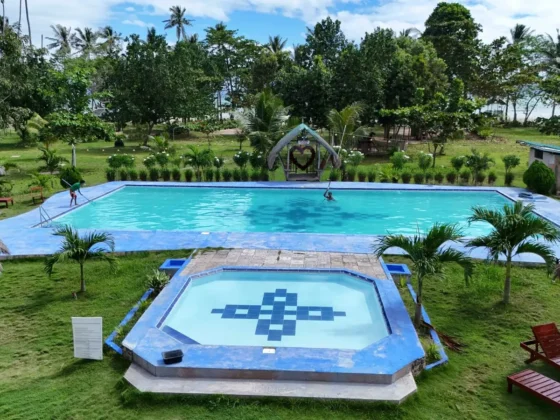 The lap pool and the octagonal plunge pool with loungers on the lawn