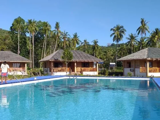 The lap pool with the nipa-roofed villas and palms behind it