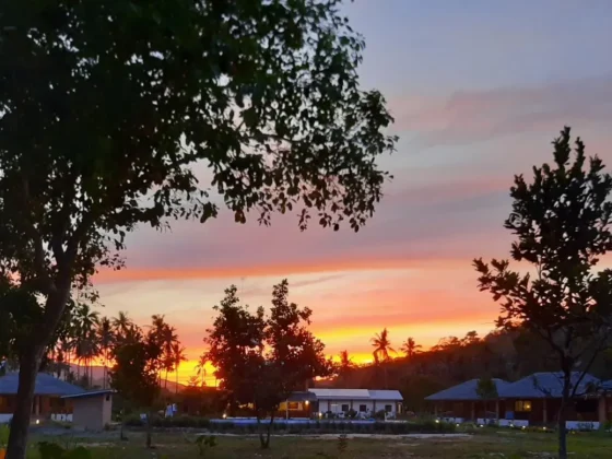 Sunset over the villa roofs and trees