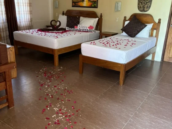 A villa interior with a queen and a single bed and rose petals on the floor